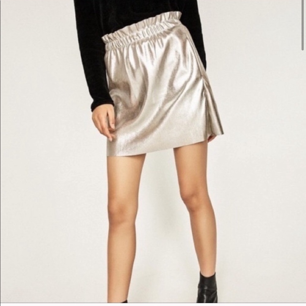 Zara skirt